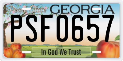 GA license plate PSF0657
