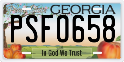 GA license plate PSF0658