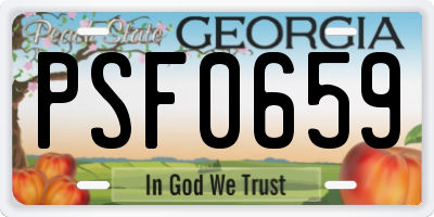 GA license plate PSF0659