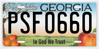 GA license plate PSF0660