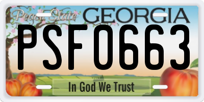 GA license plate PSF0663