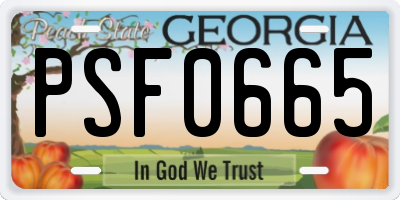 GA license plate PSF0665