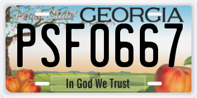 GA license plate PSF0667