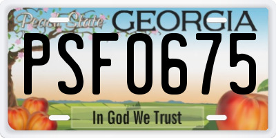 GA license plate PSF0675