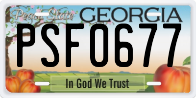 GA license plate PSF0677