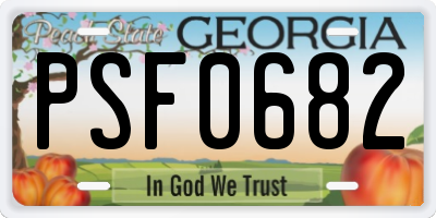 GA license plate PSF0682