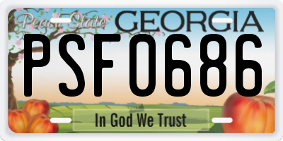 GA license plate PSF0686