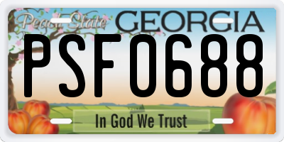 GA license plate PSF0688