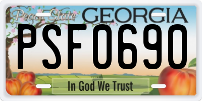 GA license plate PSF0690