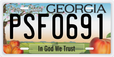 GA license plate PSF0691