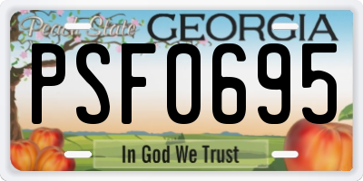 GA license plate PSF0695