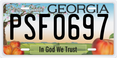 GA license plate PSF0697