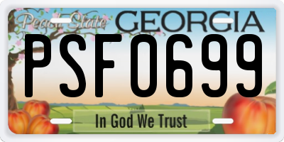GA license plate PSF0699
