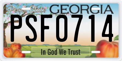 GA license plate PSF0714
