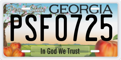 GA license plate PSF0725