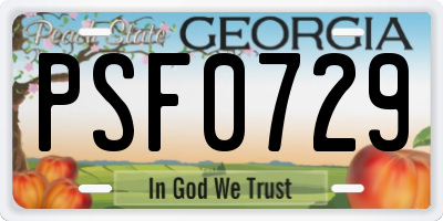 GA license plate PSF0729