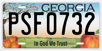 GA license plate PSF0732