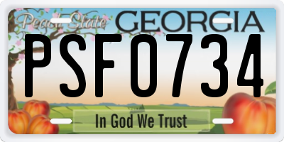 GA license plate PSF0734