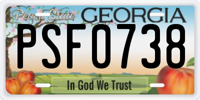 GA license plate PSF0738