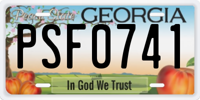 GA license plate PSF0741