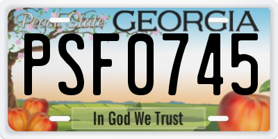GA license plate PSF0745