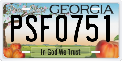 GA license plate PSF0751