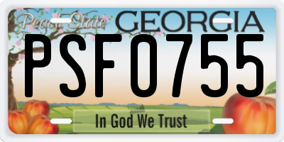 GA license plate PSF0755