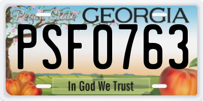 GA license plate PSF0763