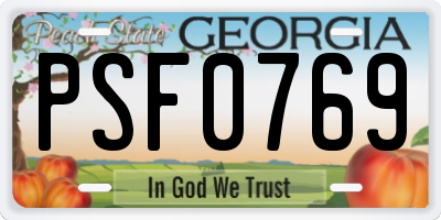 GA license plate PSF0769