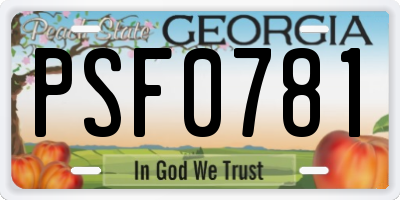 GA license plate PSF0781