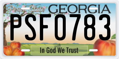GA license plate PSF0783