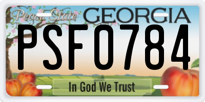 GA license plate PSF0784
