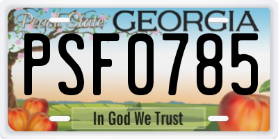 GA license plate PSF0785