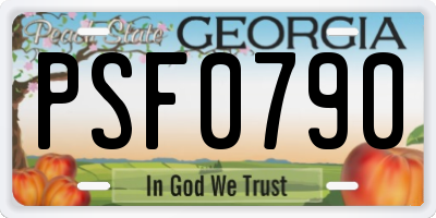 GA license plate PSF0790