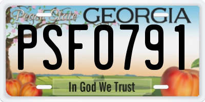 GA license plate PSF0791