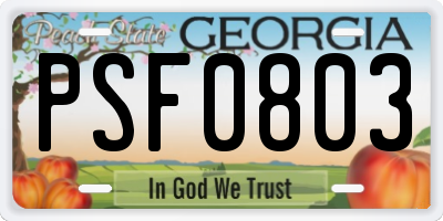 GA license plate PSF0803