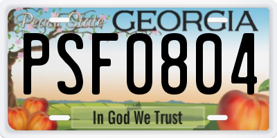 GA license plate PSF0804