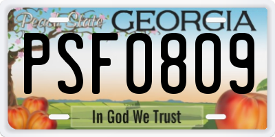 GA license plate PSF0809