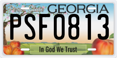 GA license plate PSF0813