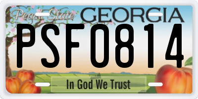GA license plate PSF0814