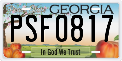 GA license plate PSF0817