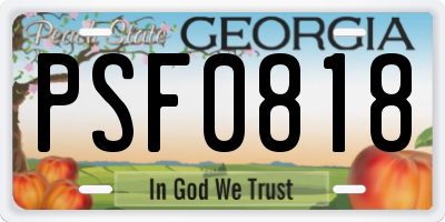 GA license plate PSF0818