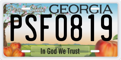GA license plate PSF0819