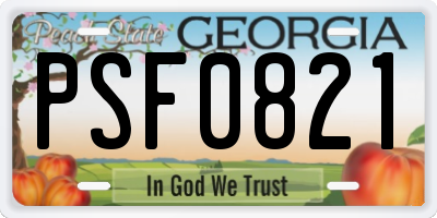 GA license plate PSF0821