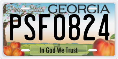 GA license plate PSF0824