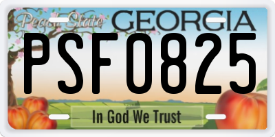 GA license plate PSF0825
