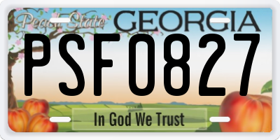GA license plate PSF0827