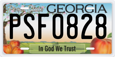 GA license plate PSF0828