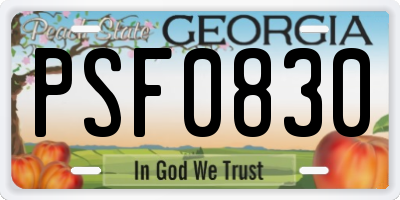 GA license plate PSF0830