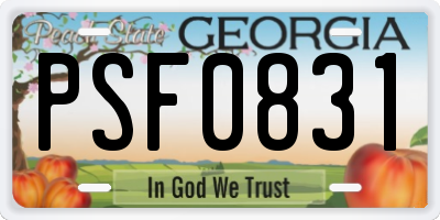 GA license plate PSF0831